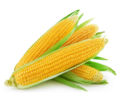 products-corn